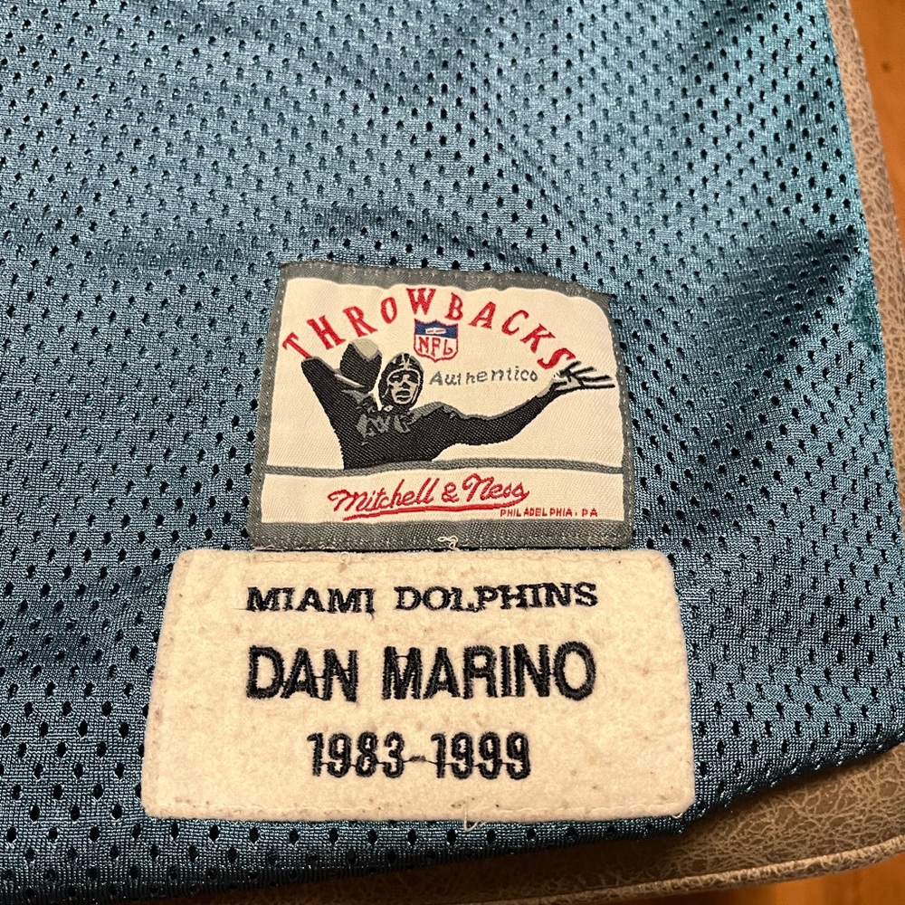 Dan Marino Teal Football Jersey with Number 13 a vintage jersey - Picture 5 of 14